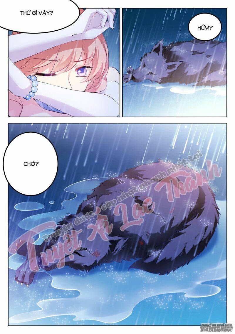 dạy bảo ma vương lão công chapter 1 4