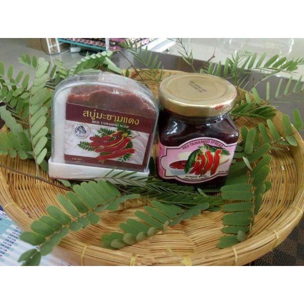 Cây Me Đỏ Thái Lan.. 6 tháng cây cho trái