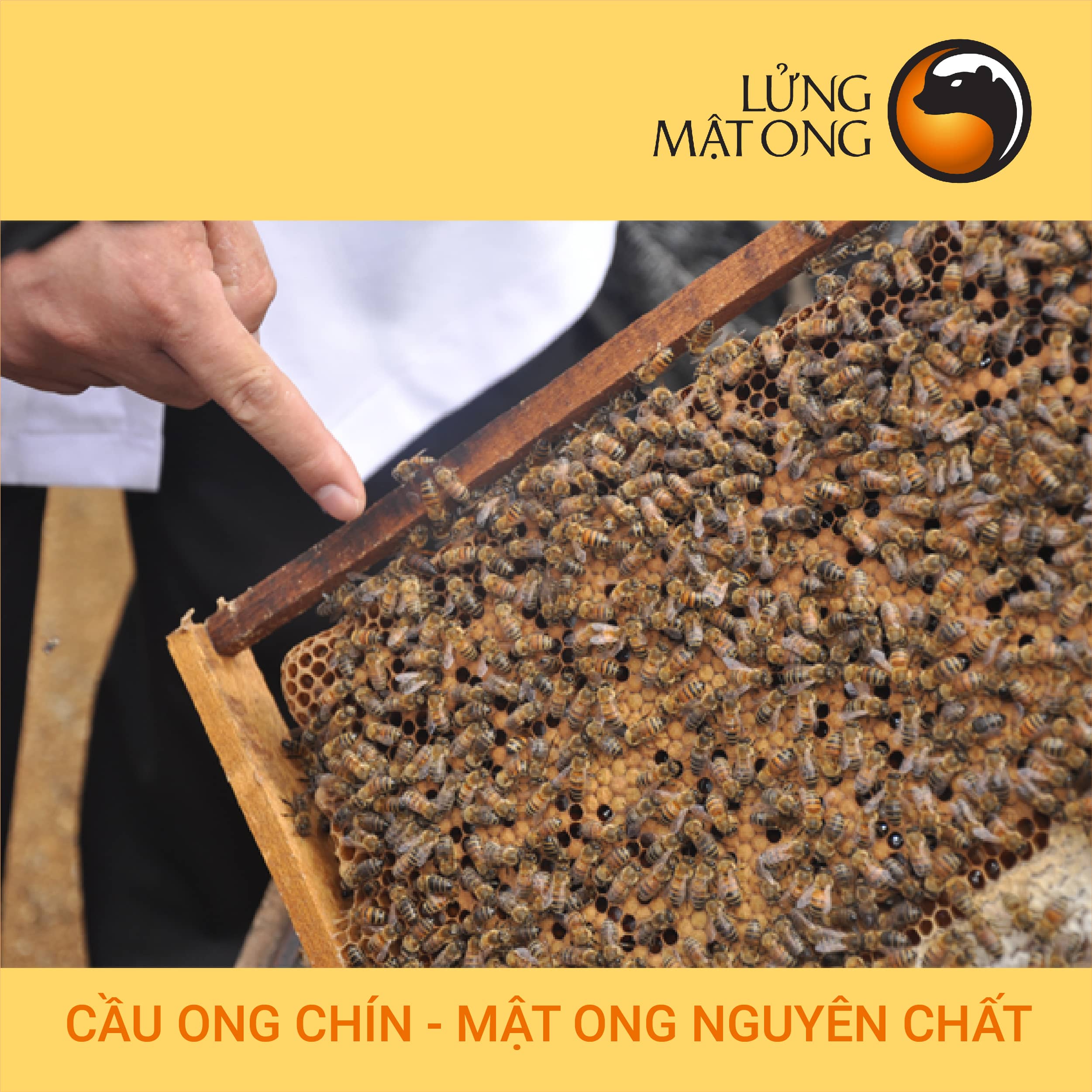 Mật ong rừng thượng hạng núi cao - 100% mật ong chín Mẹ Tiên Honimore 110g