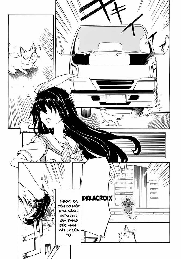 rock paper scissors chapter 1 9