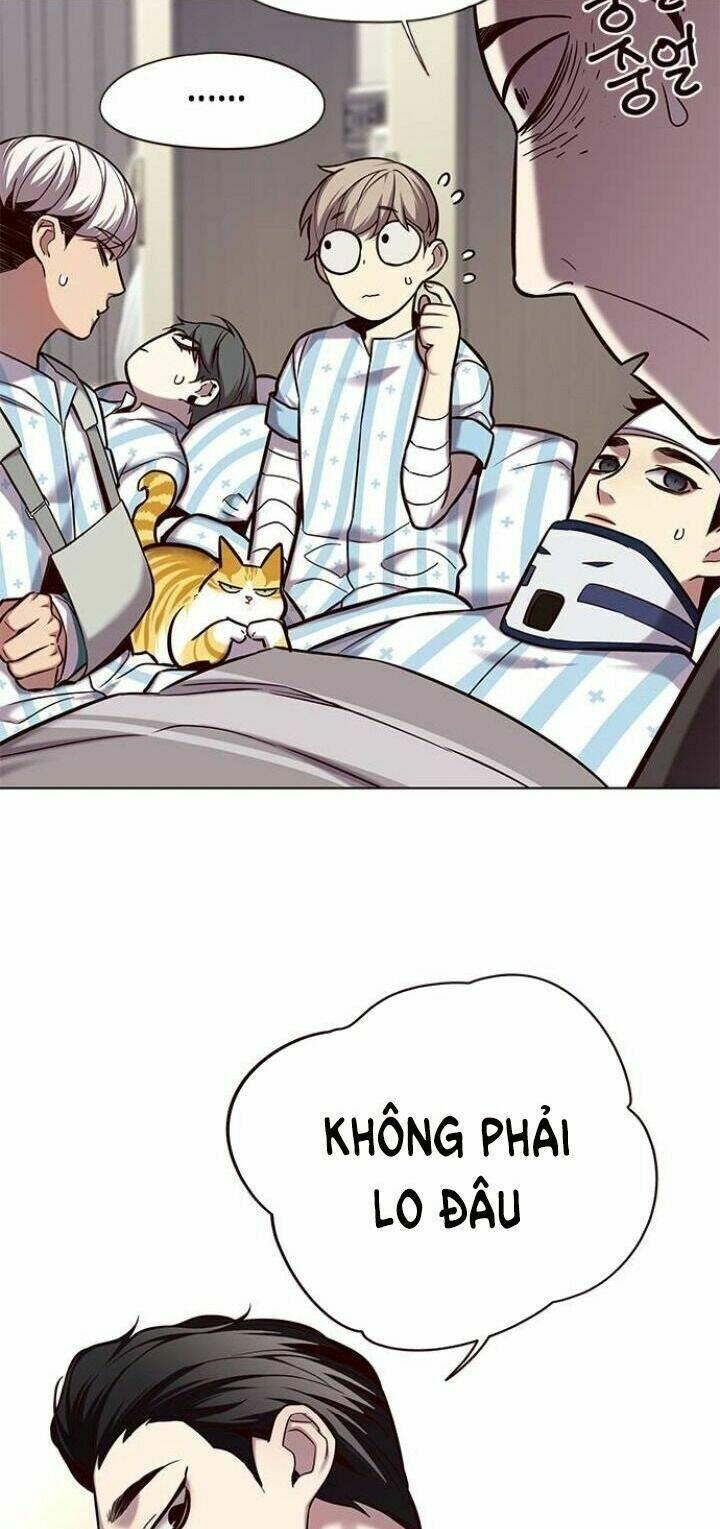 biến thân thành mèo chapter 114 8