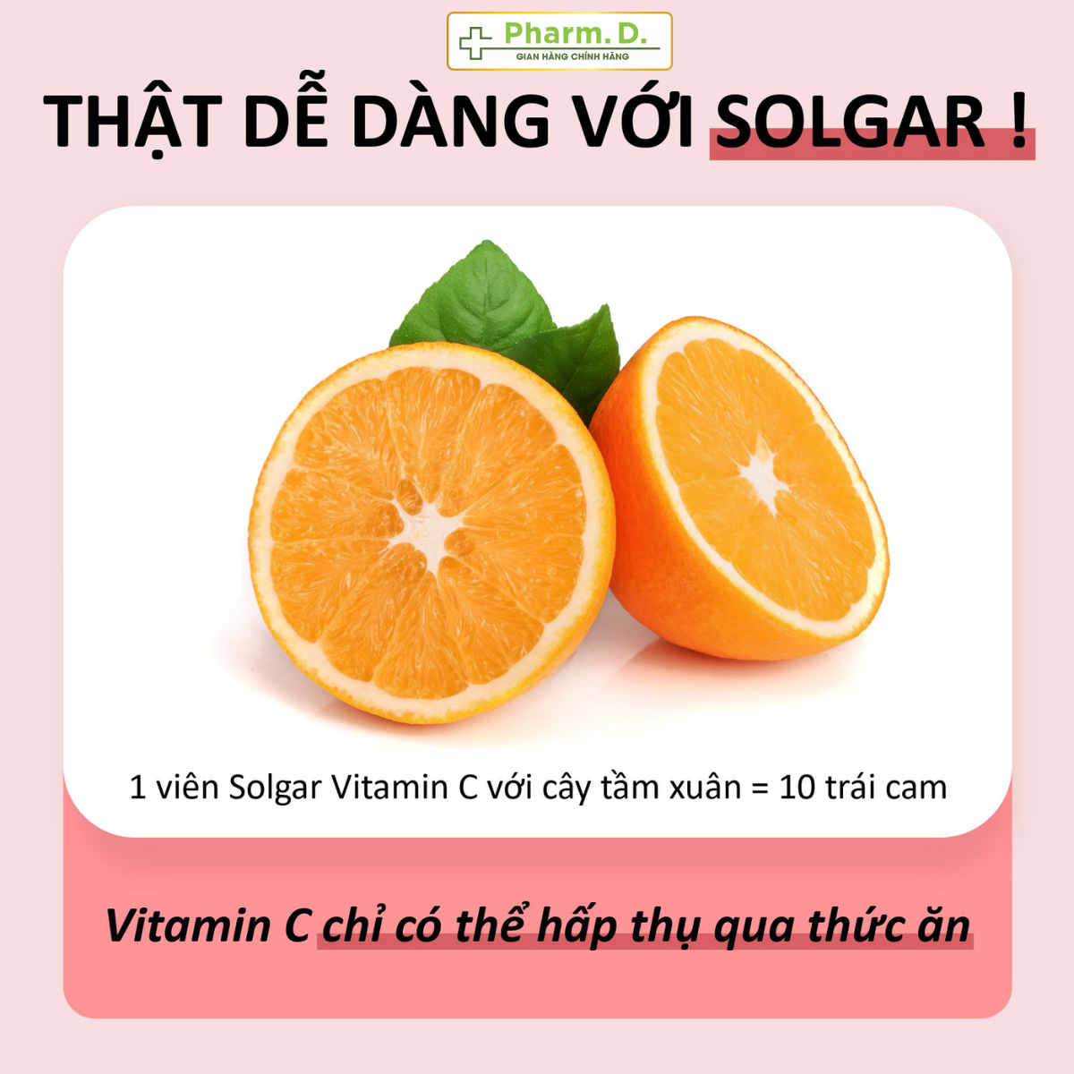 Viên Uống Bổ Sung Vitamin C, Tăng Đề Kháng, Chống Oxy Hóa với Dầu Tầm Xuân Solgar Vitamin C 500mg With Rose Hips (Hộp 100 Viên)