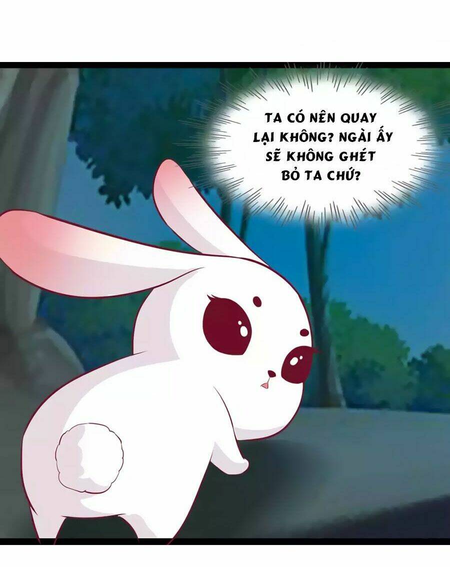 thỏ yêu tiểu vương phi chapter 92 5