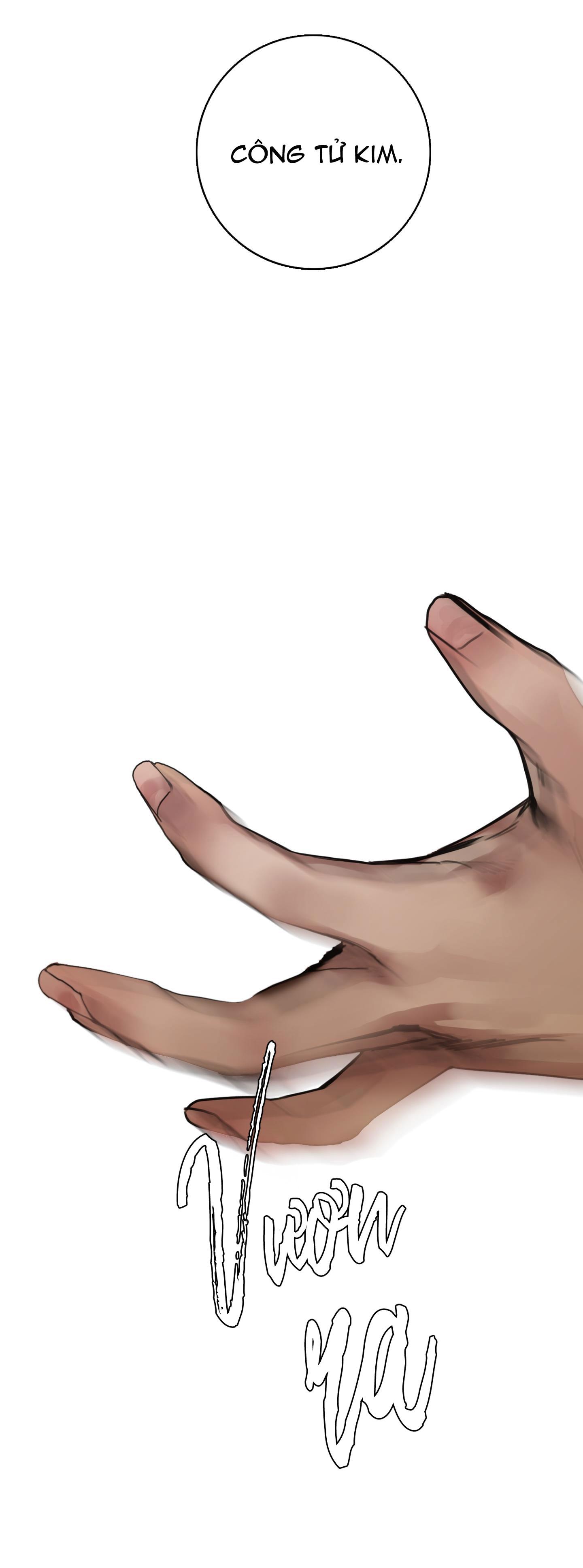 bl cổ trang - âu cổ ngắn nhà kim chapter 25.4 10