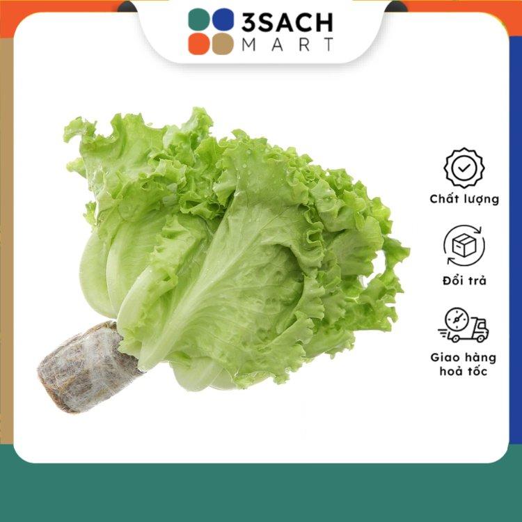 Xà Lách Lolo Xanh Thủy Canh – 250ggói