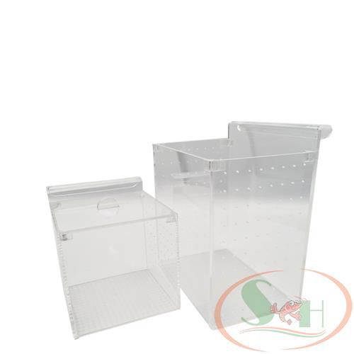 Box mica Taiwan DIY lồng tách dưỡng cây cá tép sinh sản móc treo thành hồ