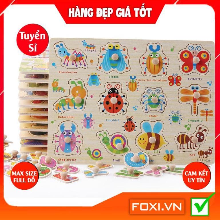 Bảng núm(Loại Nhỏ) Chủ đề giao thông-vũ trụ bao la Foxi-Phát triển khả năng ghi nhớ-tưởng tượng-suy luận-logic