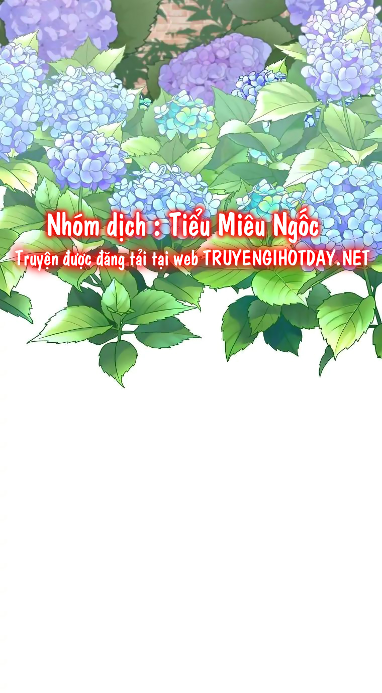 aster yêu dấu của tôi chapter 11 17