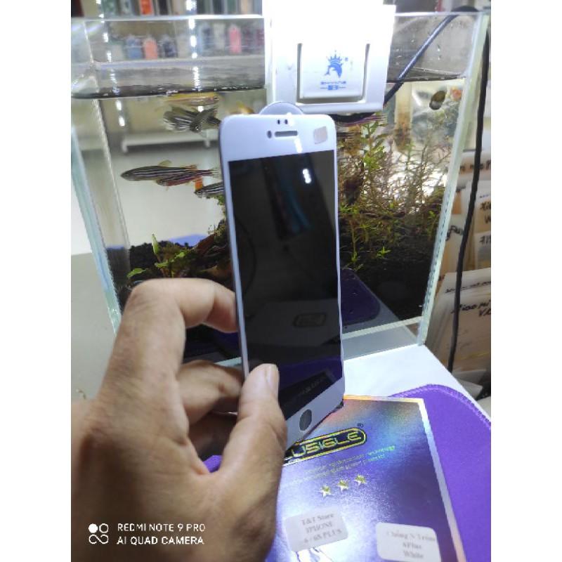 Kính chống nhìn trộm Full D