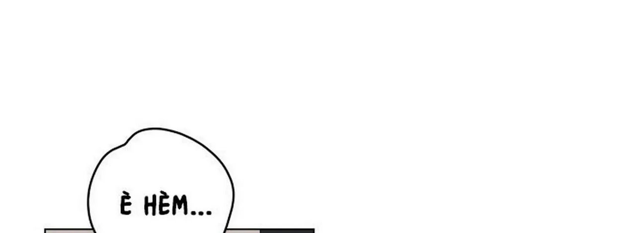 chuyện quái gì với giấc mơ đó vậy chapter 1 246