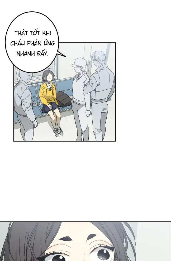 Đường Đến Mire chapter 1 - Trang 11