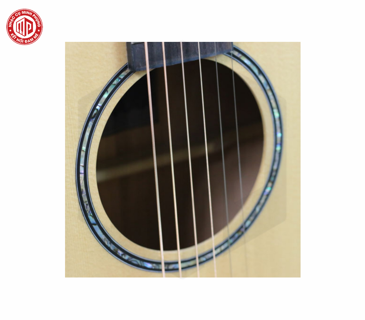 Đàn Guitar Acoustic Hex D350CE - Hàng chính hãng