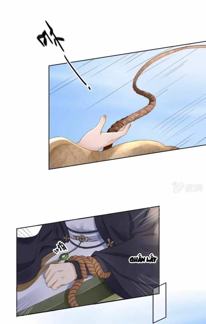 sủng phi của vương chapter 149 22