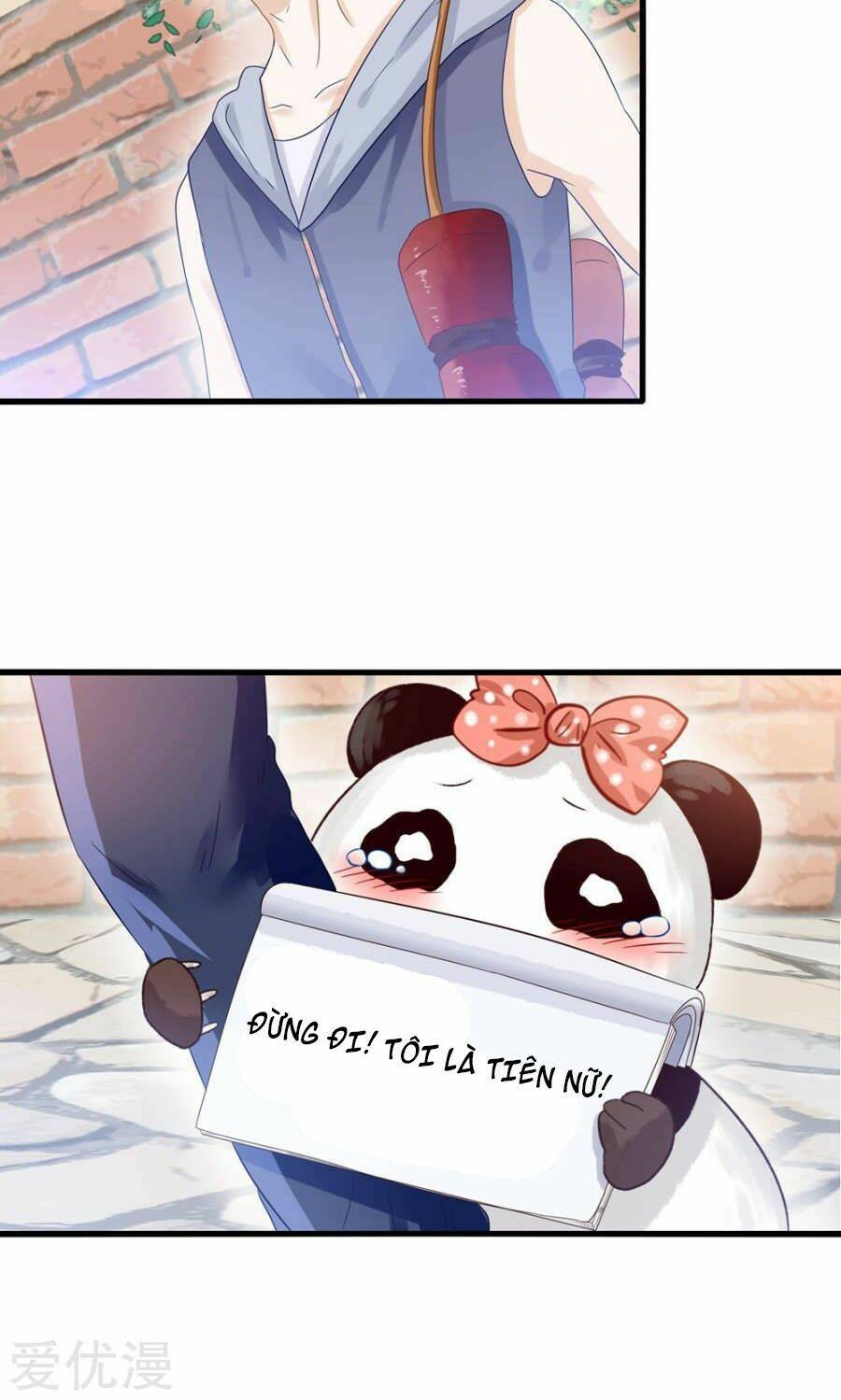 tôi bị gấu trúc nhìn trúng rồi chapter 3 5