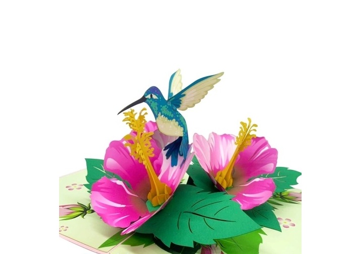 F15 -  Thiệp 3D Chim Ruồi &amp; Hoa Hồng Dâm Bụt – Pop Up Card Viethands Giftshop