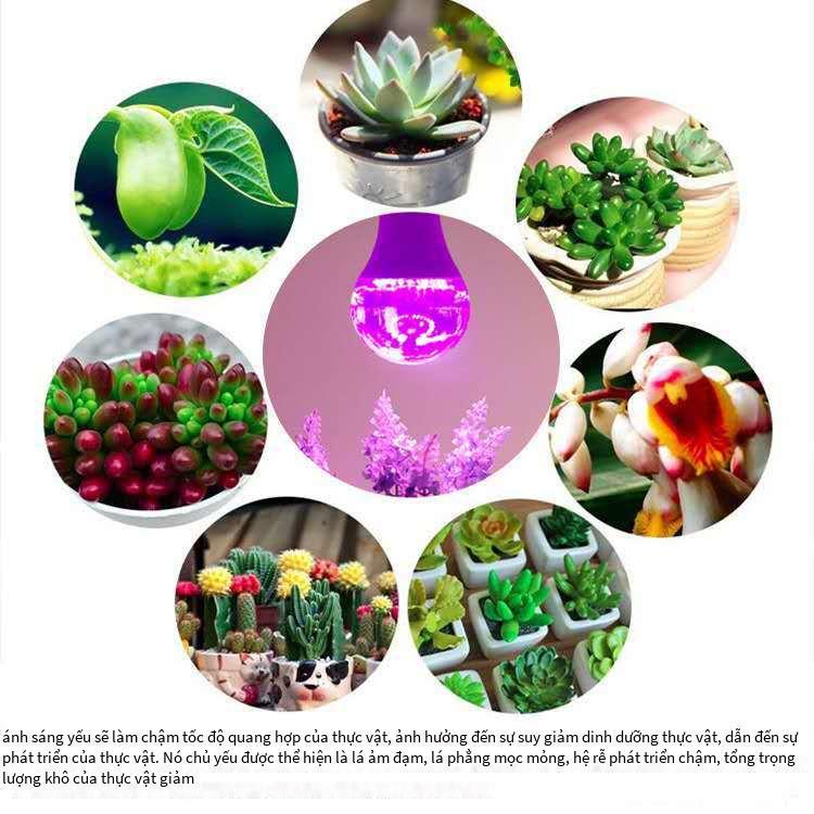 Đèn LED thuận lợi nhất mọng nước lấp đầy ánh sáng hoa giả mặt trời tăng trưởng thực vật đèn trong nhà thẳng đứng clip-on đèn bàn thực vật