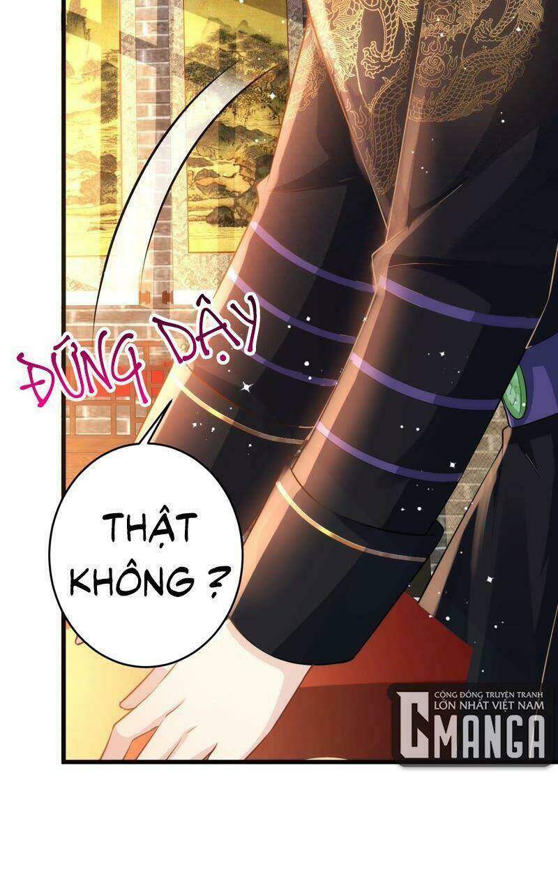 quận chúa vững vàng, thiết lập nhân vật không thể vỡ chapter 66 24