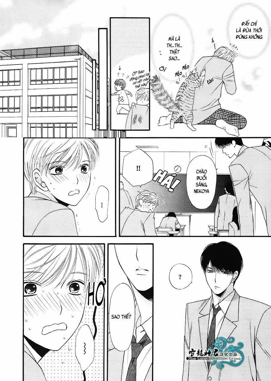 neko neko honey chapter 7 17
