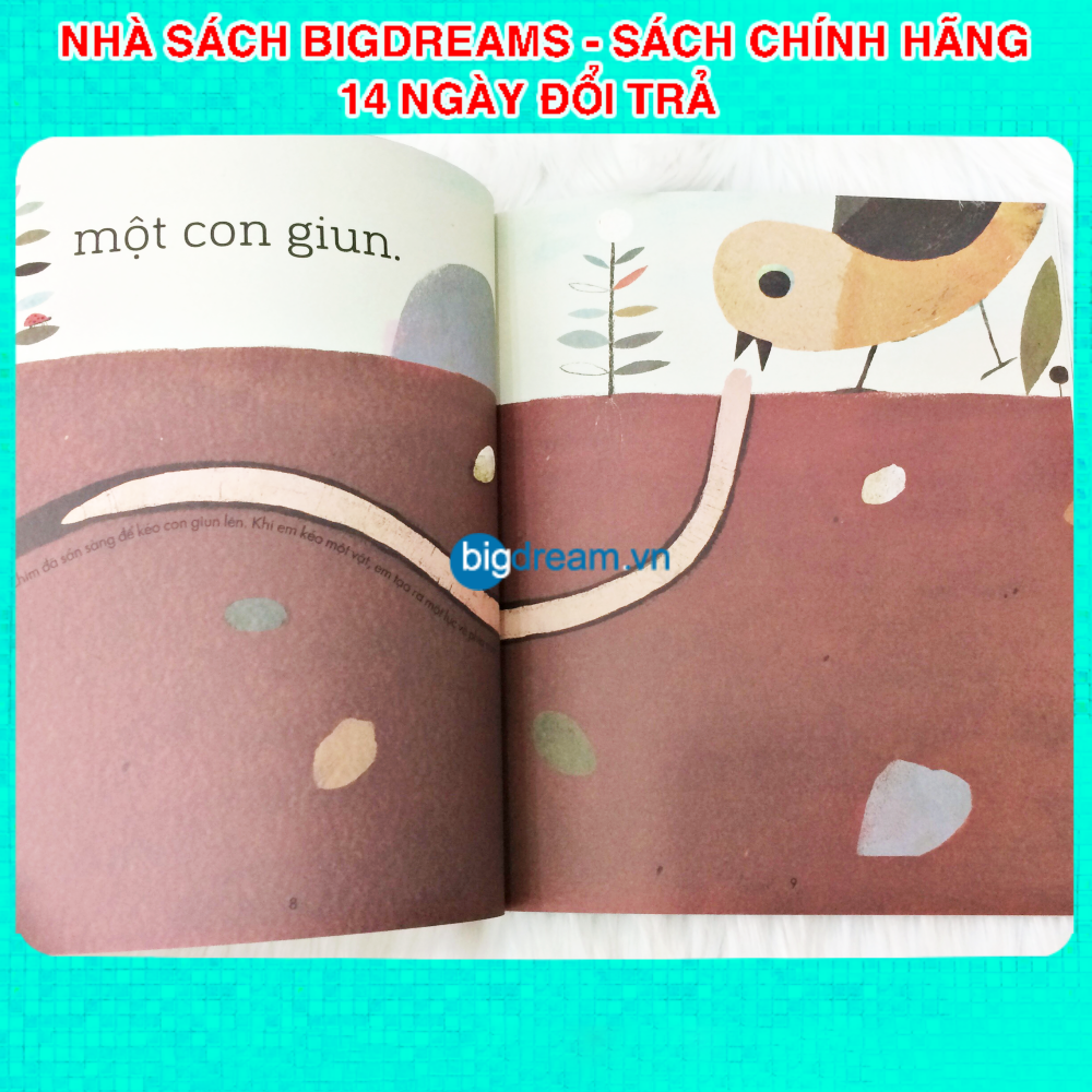 Câu chuyện khoa học A Science Storybook Bộ 4 quyển Truyện kể cho bé trước giờ đi ngủ phát triển tư duy