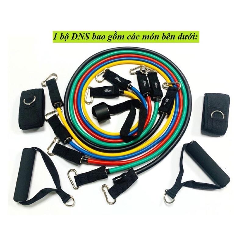 Dây Ngũ Sắc Tập Gym