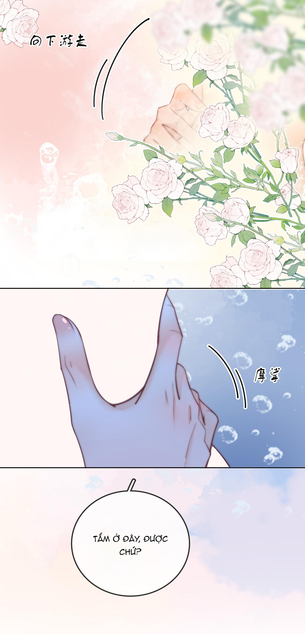 cố tiểu thư và khúc tiểu thư chapter 88 36