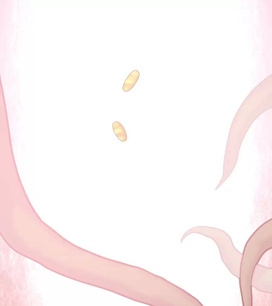 đồ long kỵ sĩ hôn môi ác long chapter 26.1 49