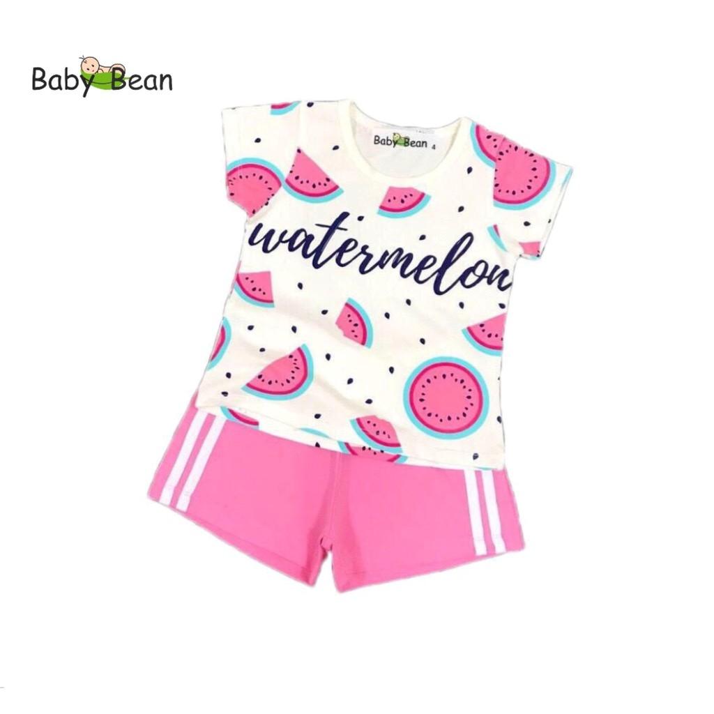 Bộ Đồ Thun Cotton in hình Trái Cây bé gái BabyBean (8kg-20kg)