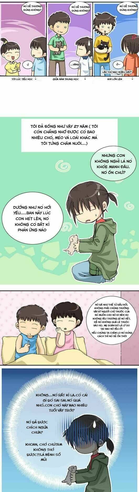 pet diary chapter 15.2 1