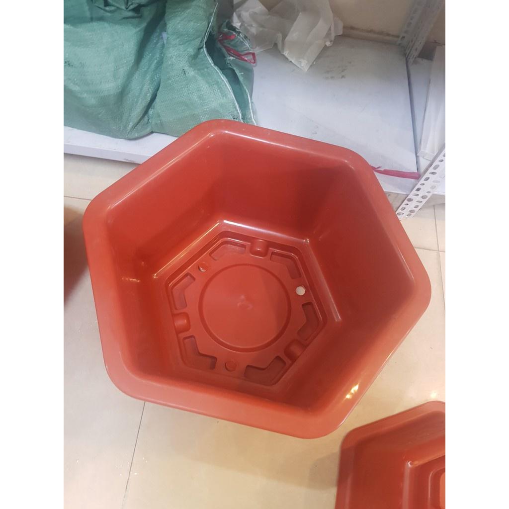 Chậu nhựa FAC 580 siêu to đẹp