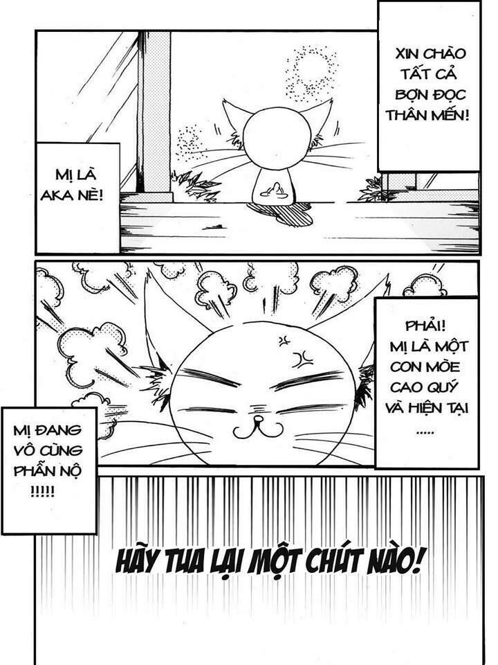 boys'story chapter 2 1