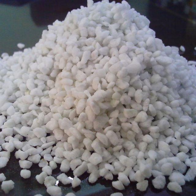 ĐÁ PERLITE TRỒNG SEN ĐÁ, XƯƠNG RỒNG