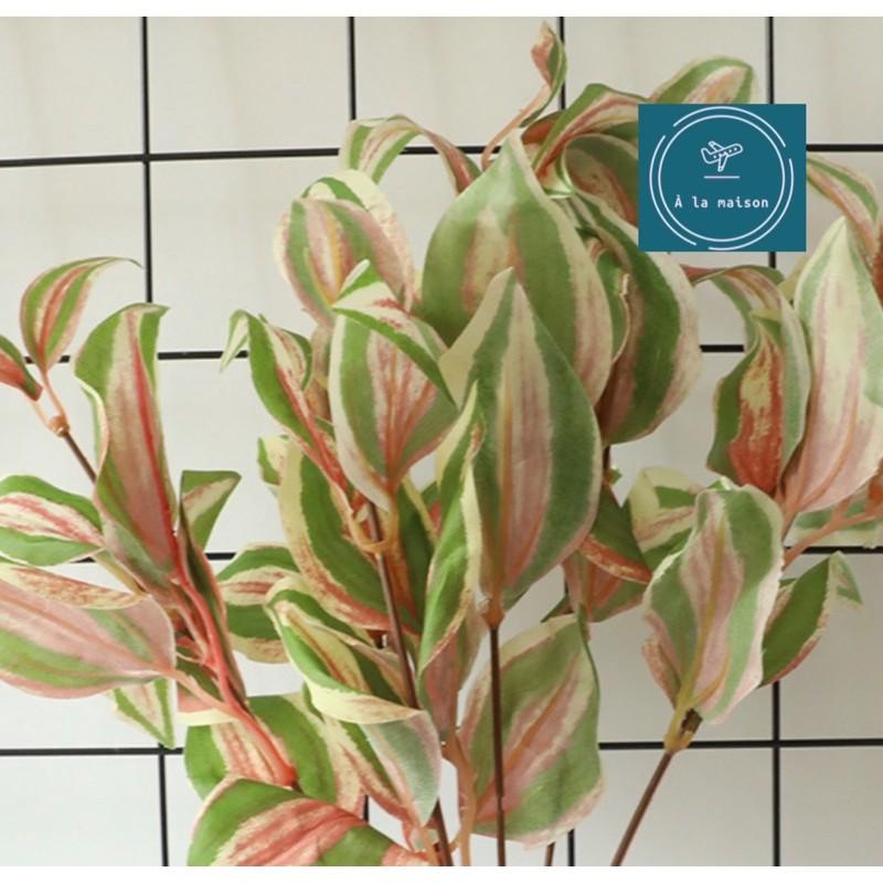 Cụm lá Peperomia cao 36cm bằng lụa dùng decor trang trí không gian sinh động tươi tắn, hoa event