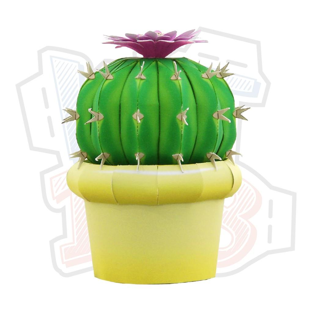 Mô hình giấy cây cảnh Cây Xương Rồng Notocactus uebelmannianus