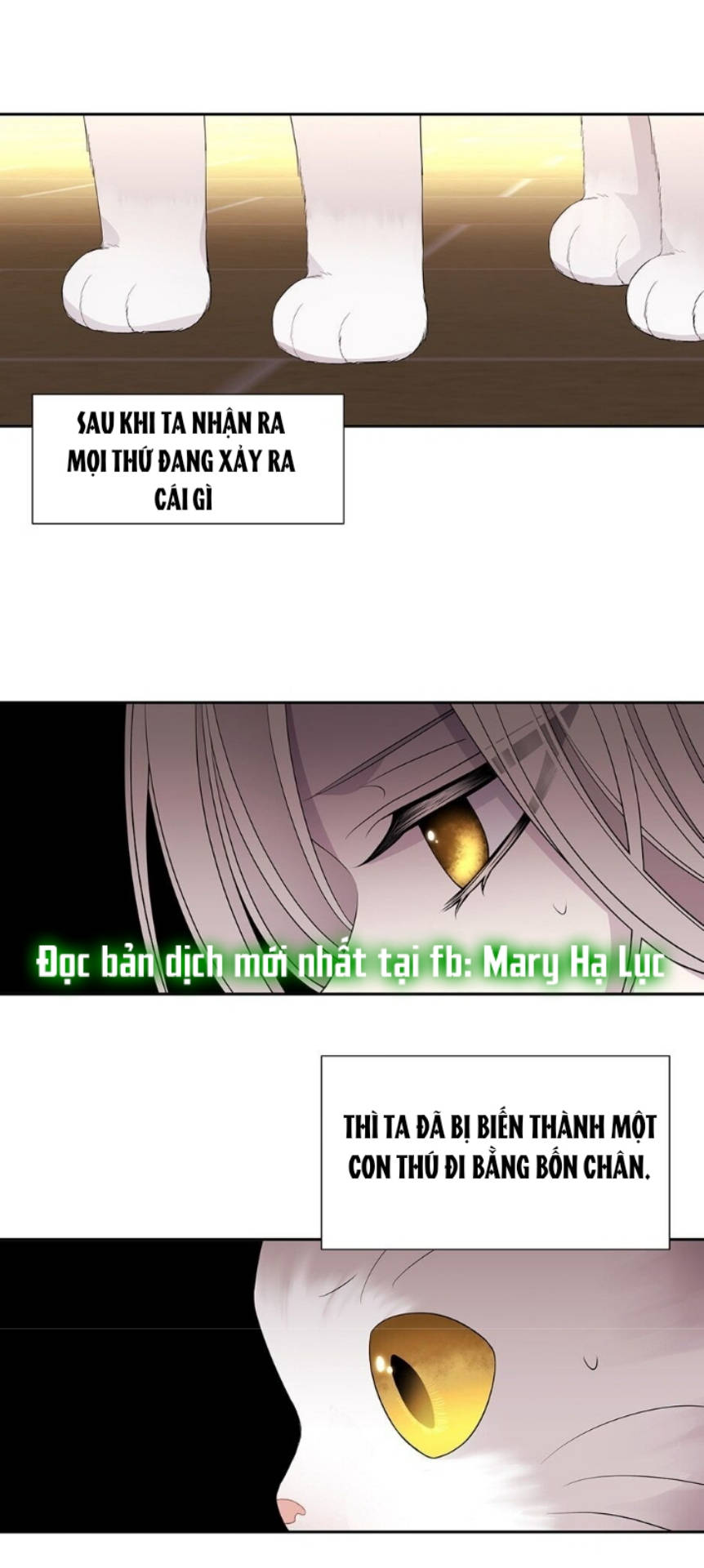 năm môn đệ của charlotte chapter 60 29