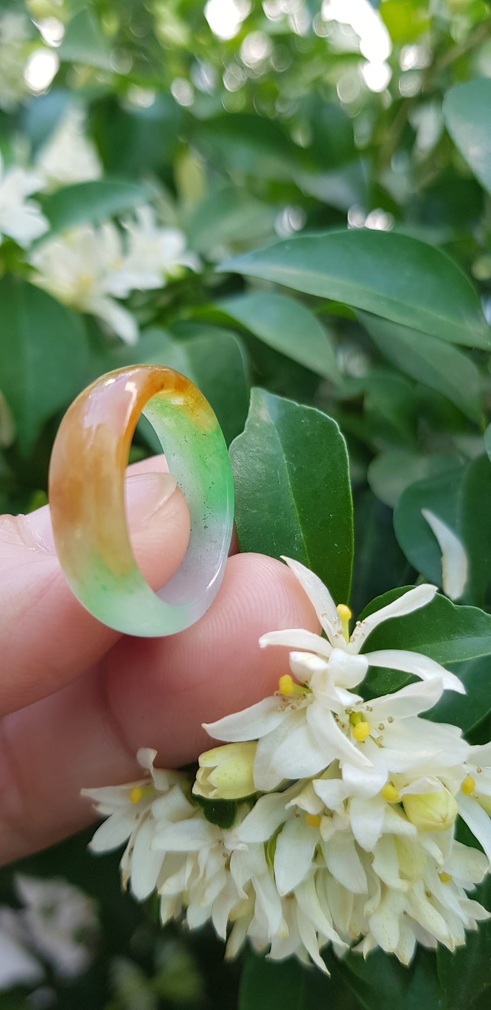 Nhẫn đeo tay nữ đá cẩm thạch tự nhiên Màu Vàng xanh trắng bóng đẹp Nhẫn Ni 17mm x cao 6mm x dầy 2,2mm ạ