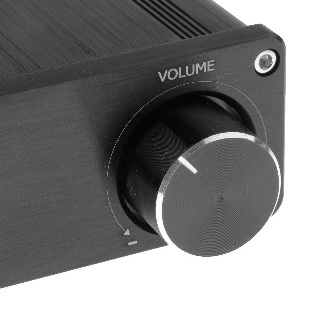 2 Channel Stereo Audio Amplifier Receiver Mini Class D Integrated Amp
