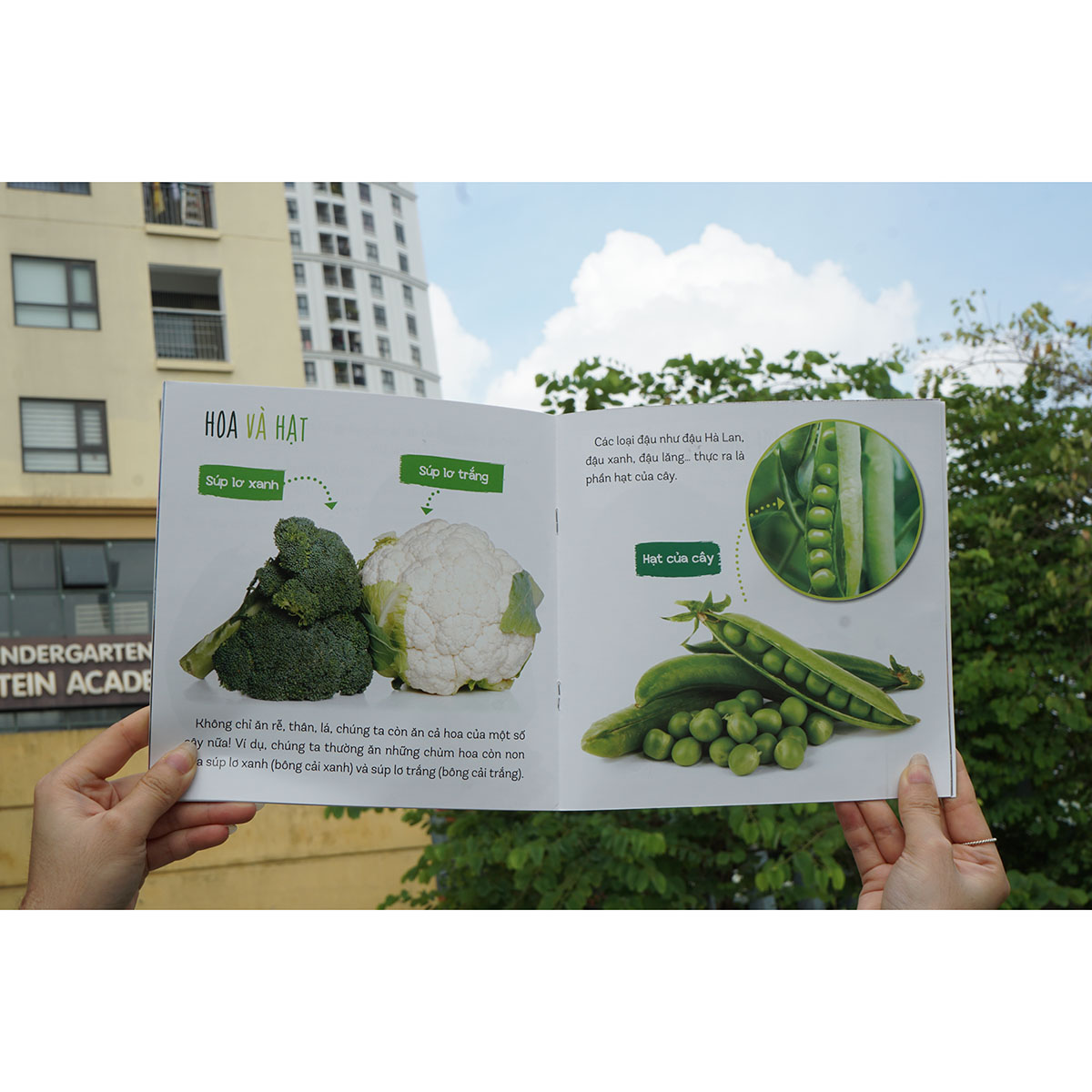 Combo : Healthy eating - Ăn uống lành mạnh