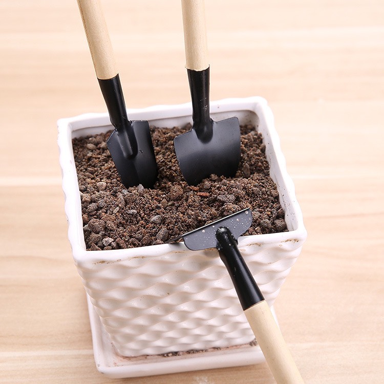 Dụng cụ làm vườn mini, 3 món, tiện lợi, chuyên dụng trồng sen đá, cán gỗ