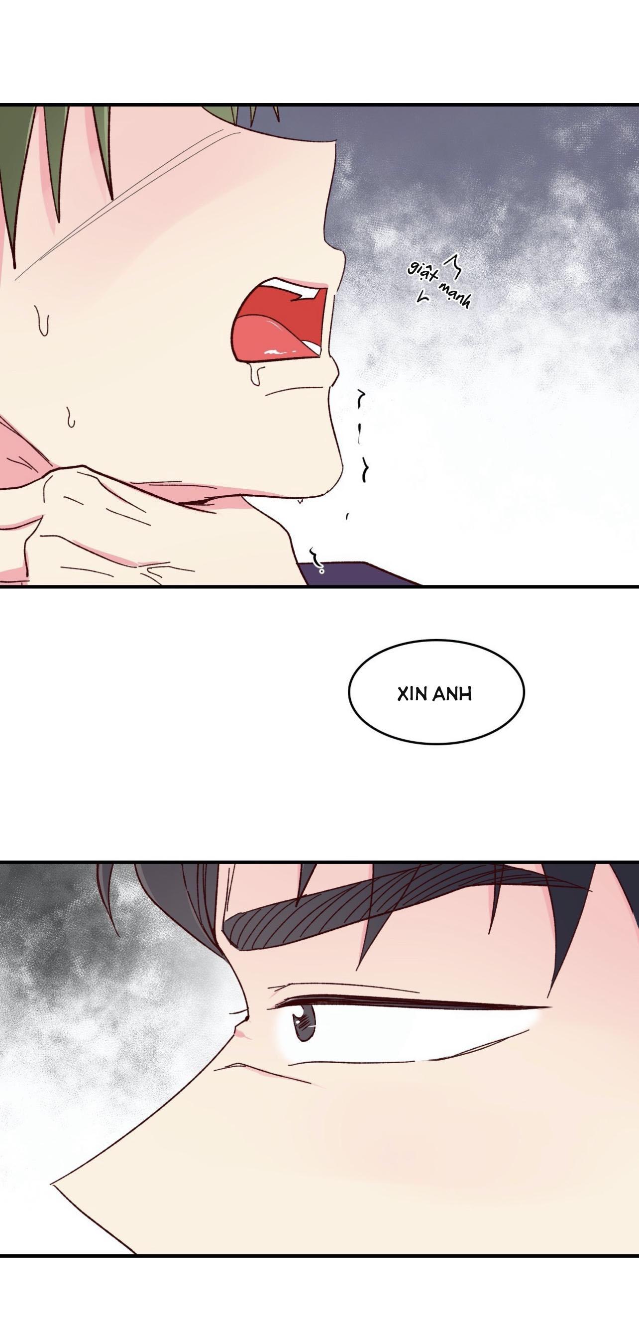 món tráng miệng của sếp tổng chapter 58 44