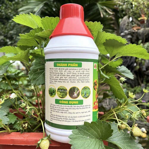 Combo 2 Chai phân bón lá HUMIC SIÊU RỄ đậm đặc