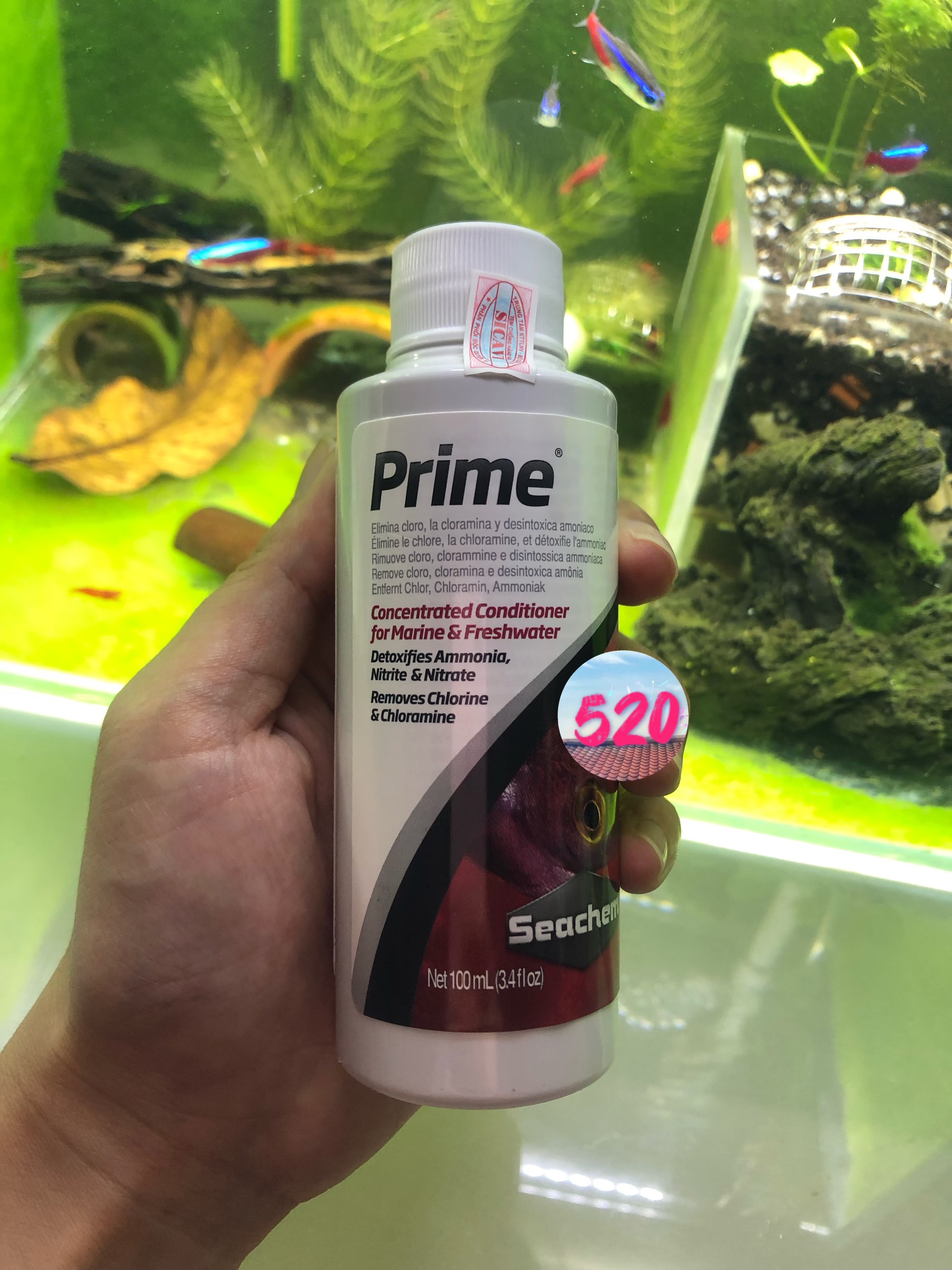 Seachem Prime 100ml / Dung dịch khử độc nước/ nước mới, khử clo