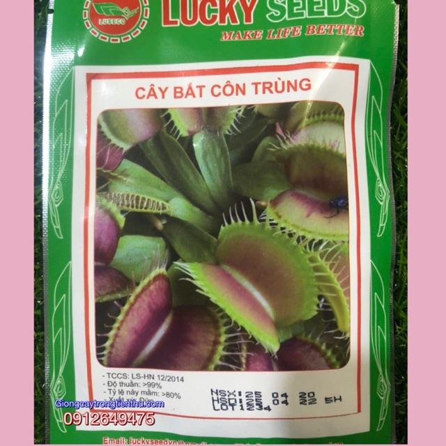 HẠT GIỐNG CÂY BẮT CÔN TRÙNG