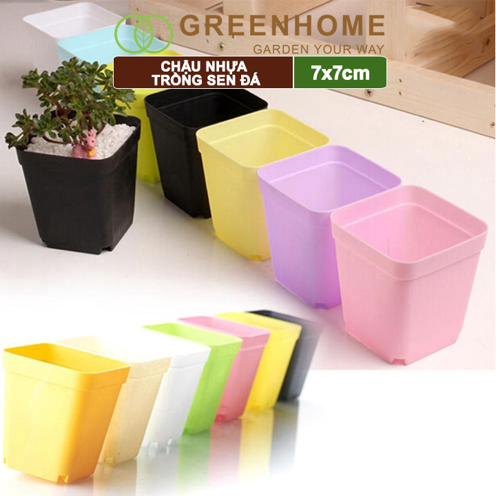 Chậu nhựa trồng sen đá, 7x7cm, bền, đẹp, màu sắc hiện đại, màu ngẫu nhiên, không dĩa |Greenhome