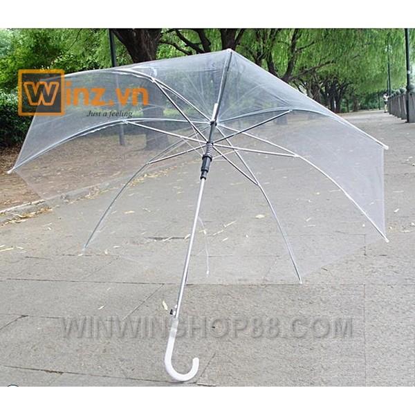 Dù trong suốt  - Winz.vn