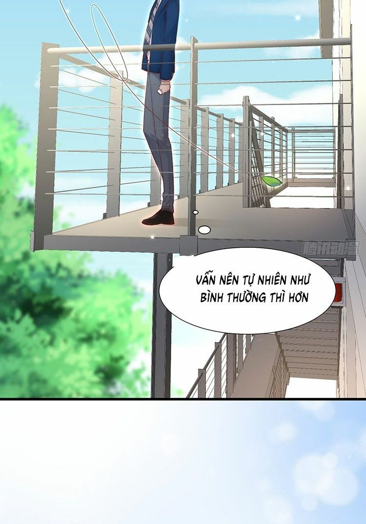 triều tây, in or out chapter 47 13