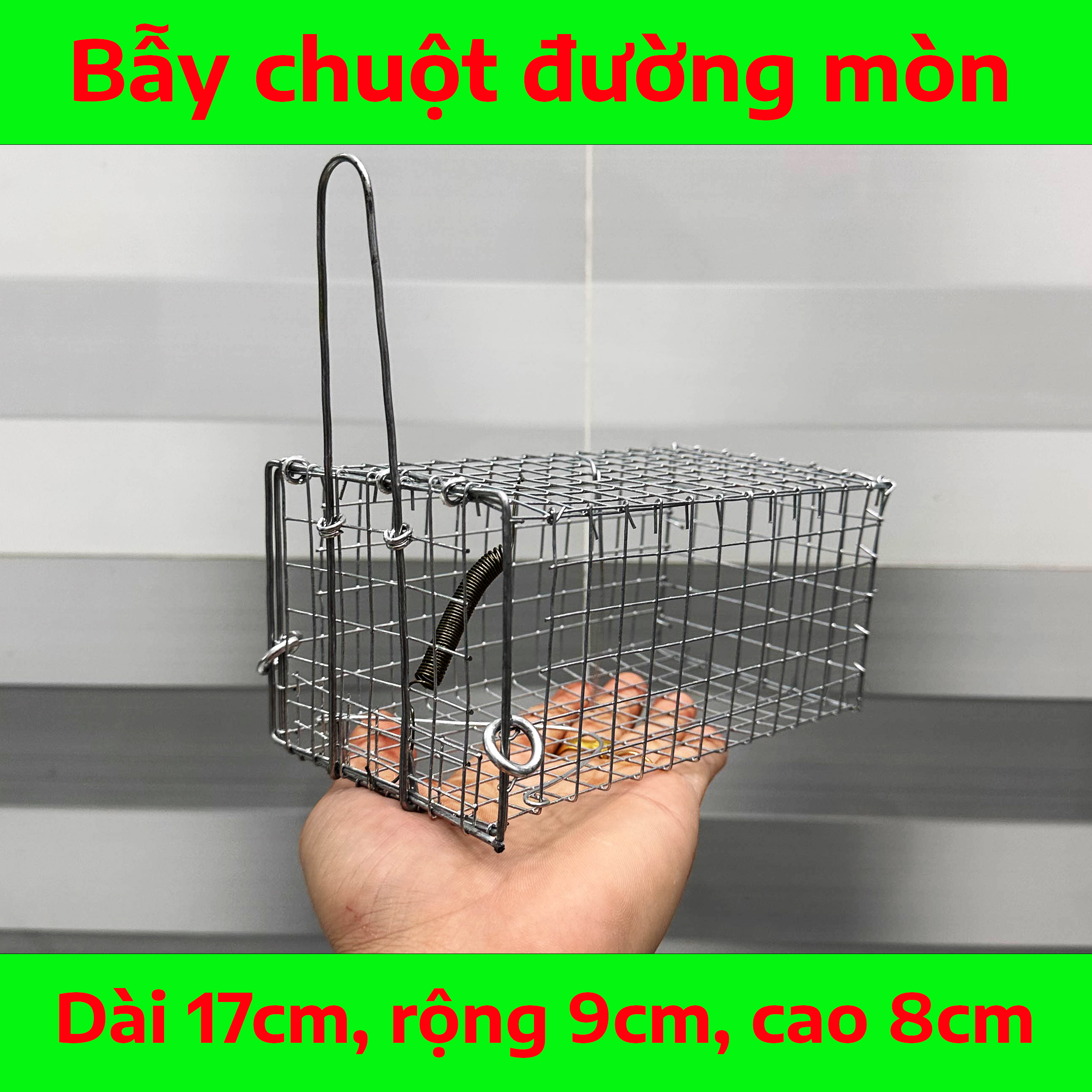 Bẫy Chuột Đường Mòn Có Khoen Chống Sẩy Kích Thước 17x9x8