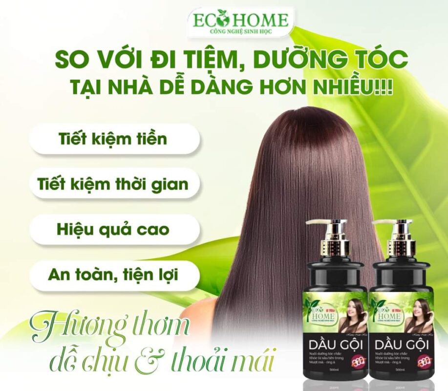 Dầu Gội ECOHOME Kim Ngân - Dầu Gội Hương Nước Hoa 500ml Công Nghệ Sinh Học giúp tóc Mượt Mà, Nuôi Dưỡng Từ Sâu Bên Trong