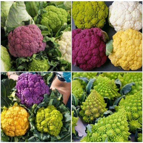 Hạt giống súp lơ các loại dể trồng f1-1 gói 1 gram-tặng kèm gói phân bón lót