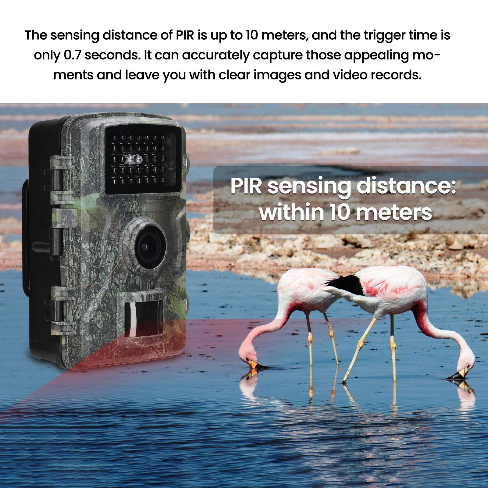 16MP 1080P Outdoor Camera Field Detection Infrared Camera 2.0 Inch TFT Color Display Day Night Use Hunts Night-Visions Camera IP66 Waterproof 12 languages Optional