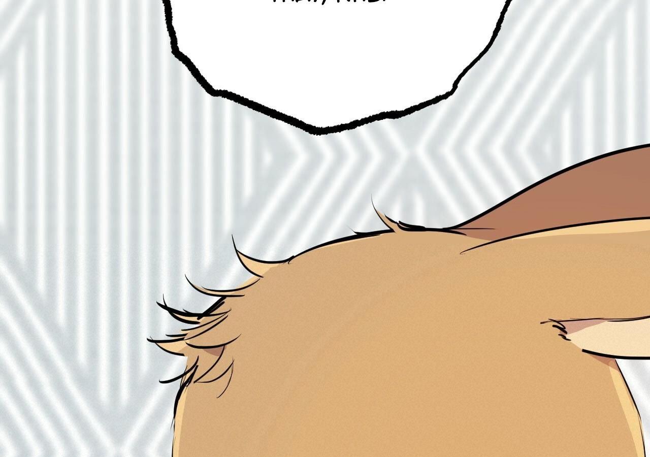 đàn thỏ của habibi chapter 20 246